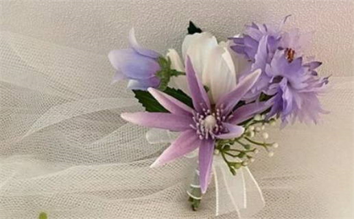 生肖鼠双子座o型血(双子座属鼠o型血)