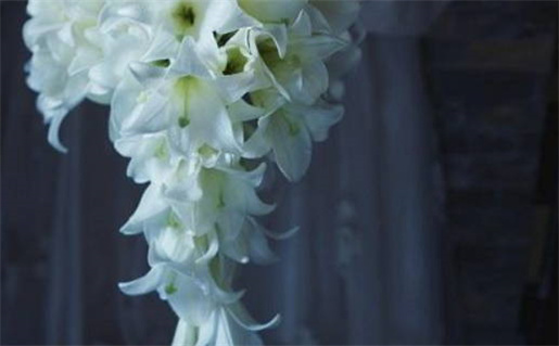 2024年4月生肖鼠运势分析及影响探讨