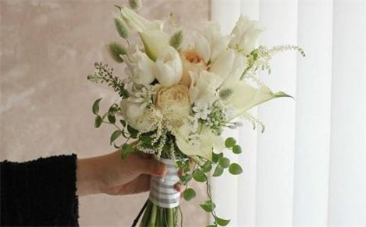 属龙与属鼠的非常合得来_属龙和属鼠的好吗