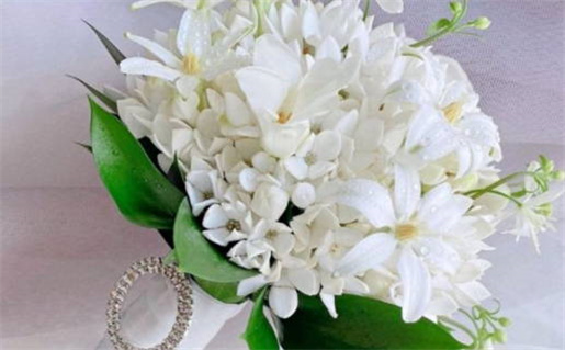 摩羯座男生结婚率高吗分析与探讨