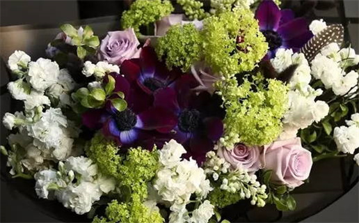 双子座适合孤独一生吗(双子座适合孤独一生吗女生)