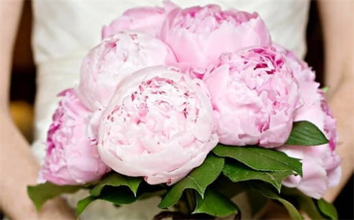 天蝎座女生想要幸福的秘诀与建议