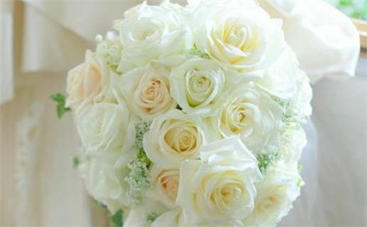 生肖鼠人财运方位(生肖鼠人财运方位图)