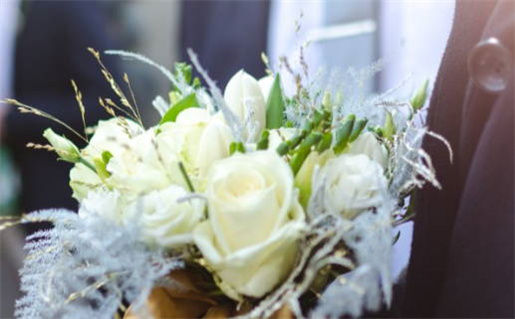 属鼠与属鸡是否婚配_属鼠与属鸡是否婚配好