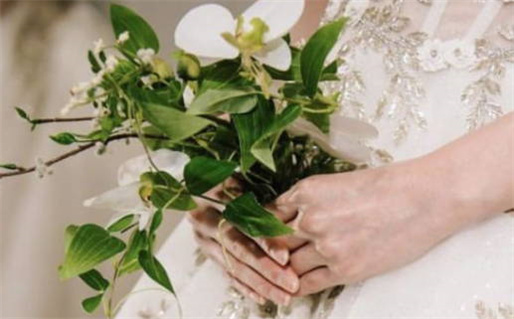 双子座追求者多吗揭秘双子座的魅力与吸引力