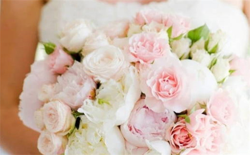 双子座为何对摩羯座充满着迷揭秘星座吸引力