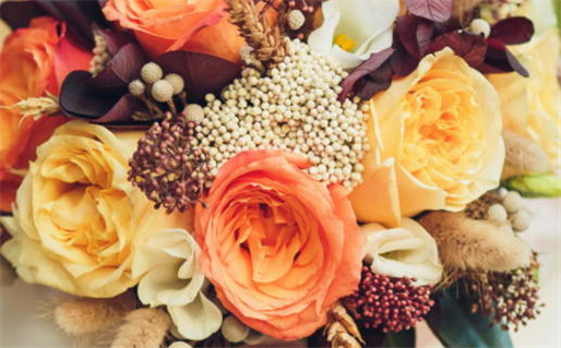 1947属鼠人的命运解析与运势指南