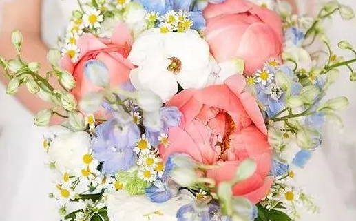 八字男命食神与伤官解析提升个人运势的秘密