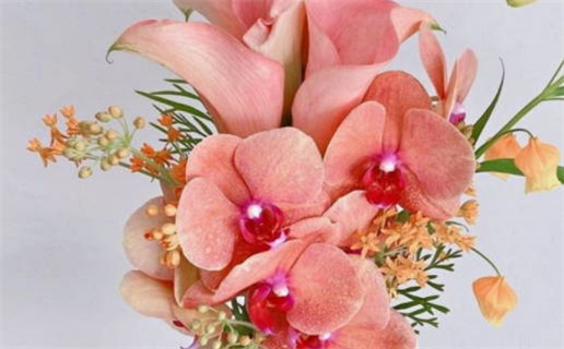 今日万年历2026年04月22日领结婚证吉日,领证好日子查询