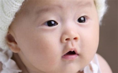 蔡姓男孩取什么名字好？307个清新自然名字推荐